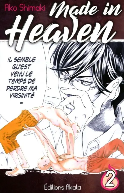 Couverture de l'album Made in Heaven 2