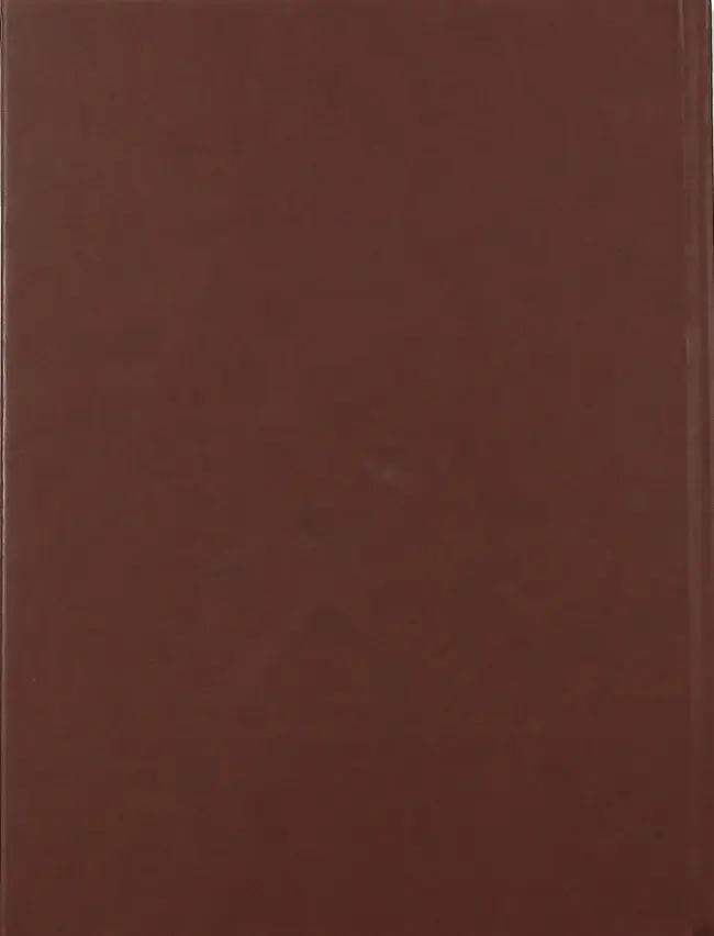 Verso de l'album Rapaces II