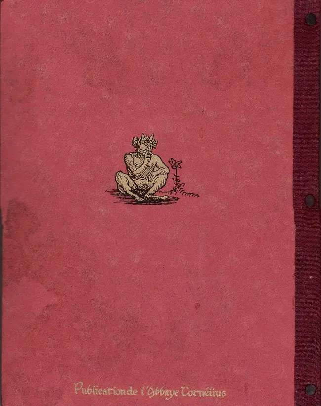 Verso de l'album La Vie exemplaire de Saint Sinus