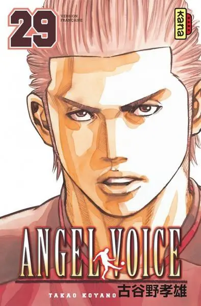 Couverture de l'album Angel Voice 29
