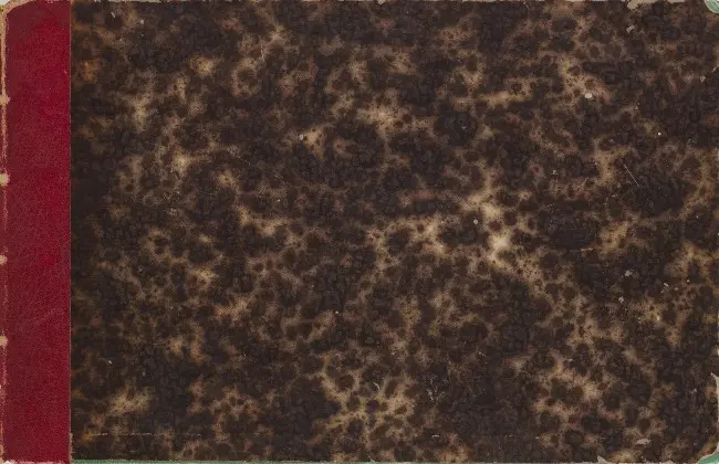 Couverture de l'album Rodolphe Töpffer - Littérature en estampes Docteur Festus