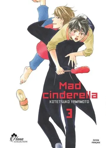 Couverture de l'album Mad Cinderella 3