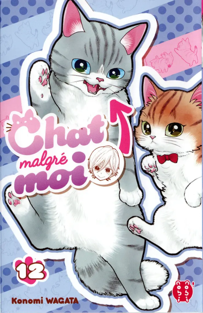 Couverture de l'album Chat malgré moi 12