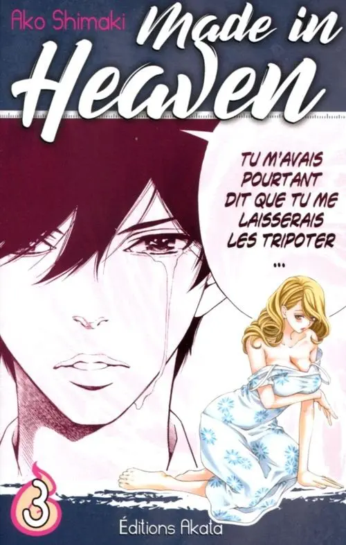 Couverture de l'album Made in Heaven 3