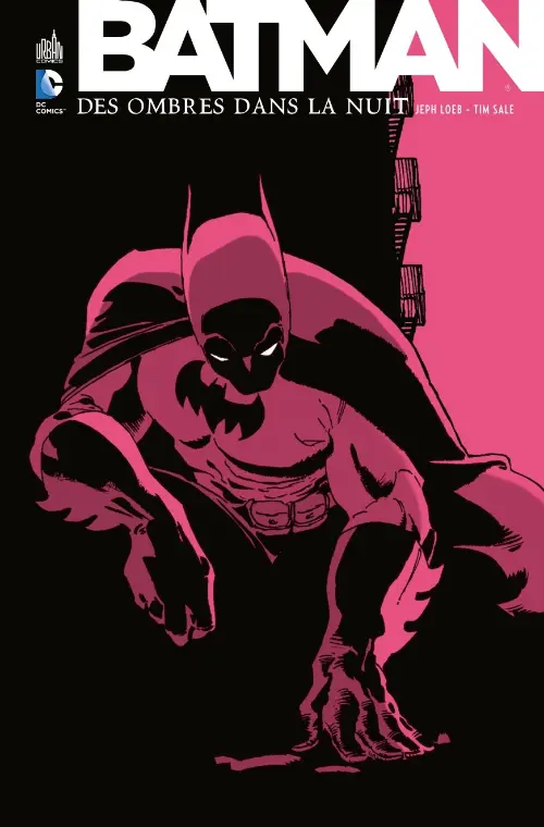 Couverture de l'album Batman : Des ombres dans la nuit