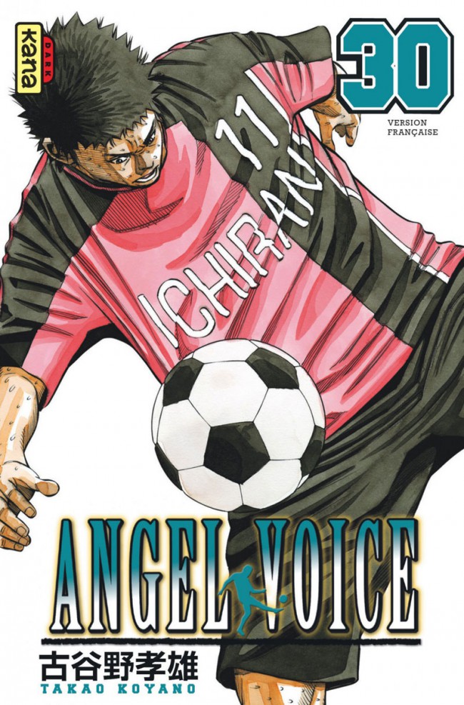 Couverture de l'album Angel Voice 30