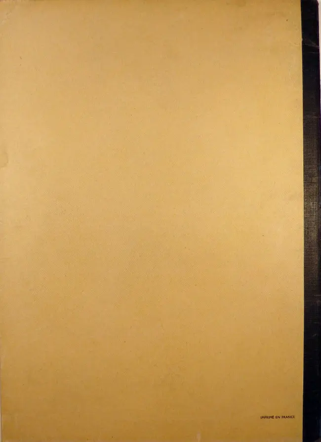 Verso de l'album Zig et Puce Tome 12 Revoilà Zig et Puce