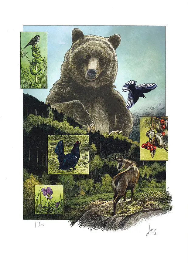 Autre de l'album Le fils de l'ours