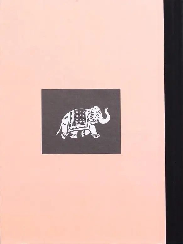 Verso de l'album India dreams Tome 2 Quand revient la mousson
