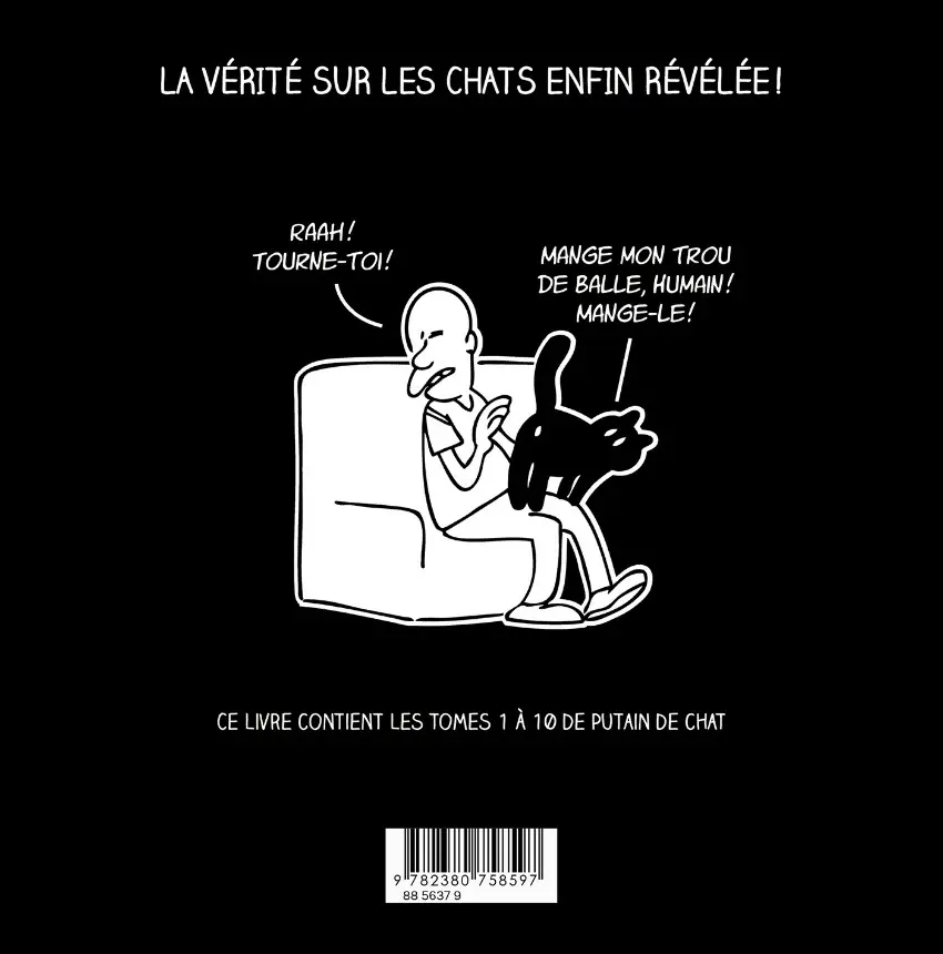 Verso de l'album Putain de chat L'intégrale