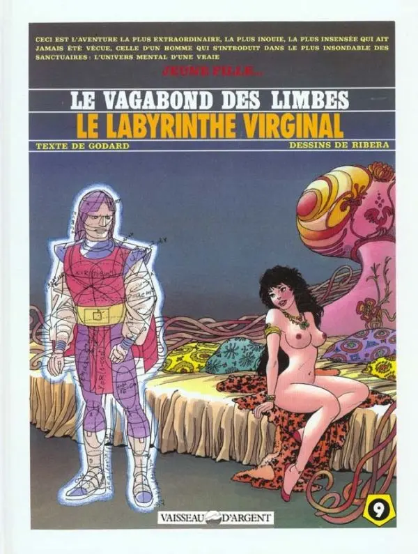 Couverture de l'album Le Vagabond des Limbes Tome 9 Le labyrinthe virginal