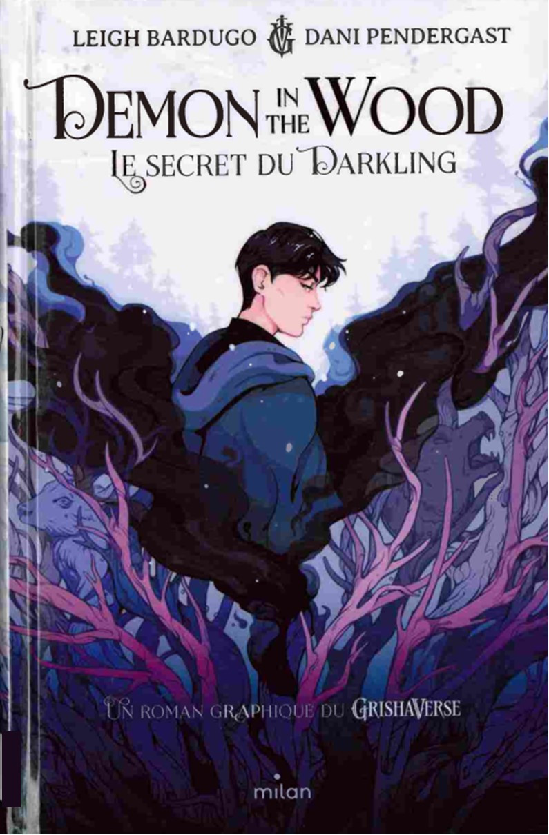 Couverture de l'album Demon in the wood Le secret du Darkling