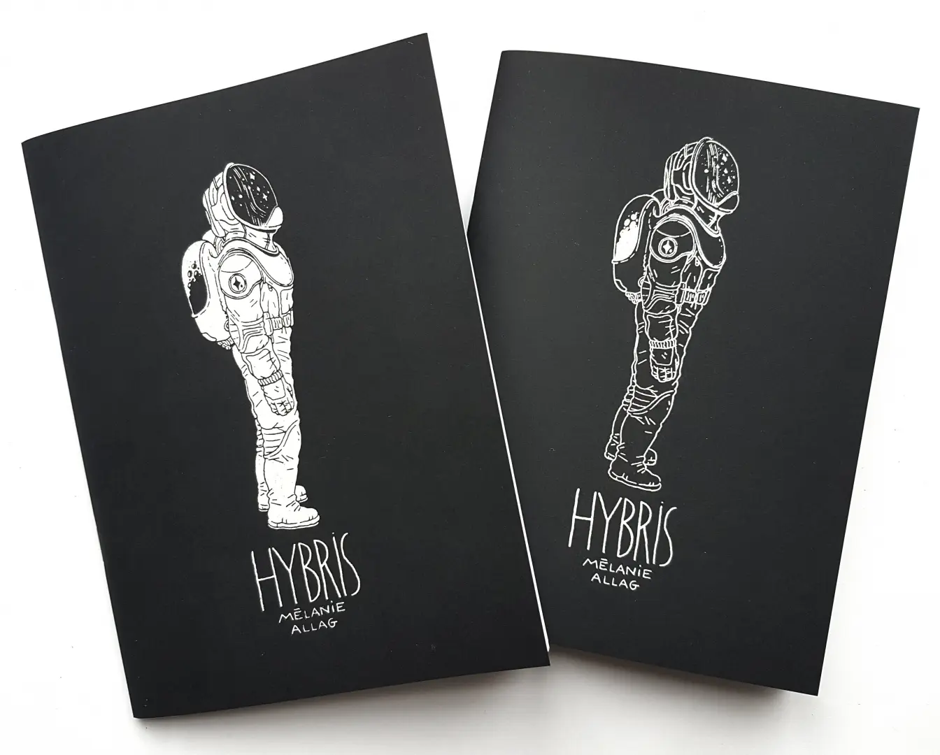 Couverture de l'album Hybris