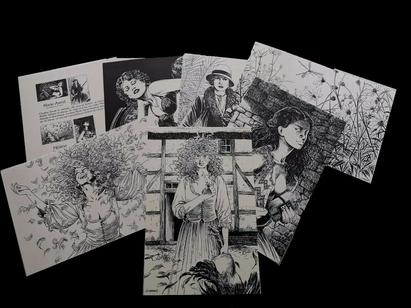 Autre de l'album La Mémoire des arbres Tome 5 La belle coquetière - Tome 1