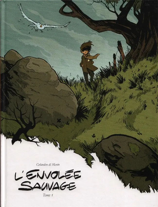Couverture de l'album L'Envolée sauvage Tome 1 La Dame Blanche