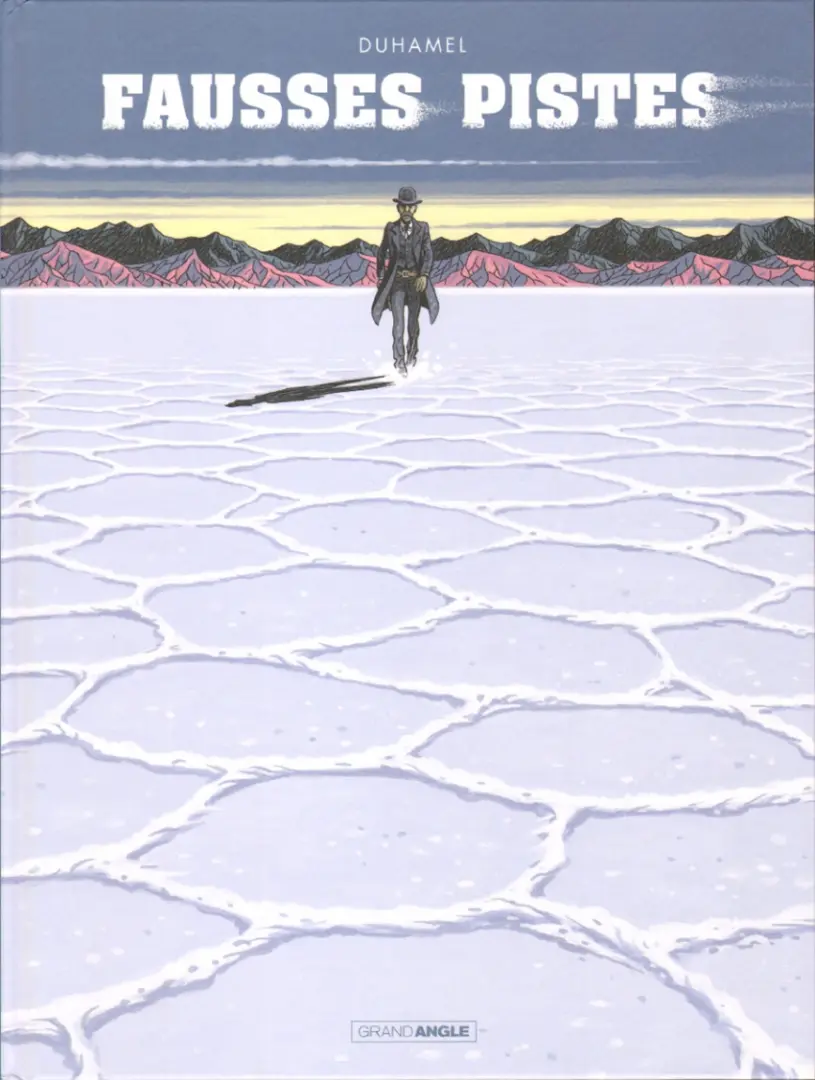 Couverture de l'album Fausses pistes