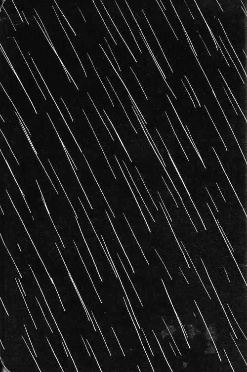 Verso de l'album [Le Son de la pluie]