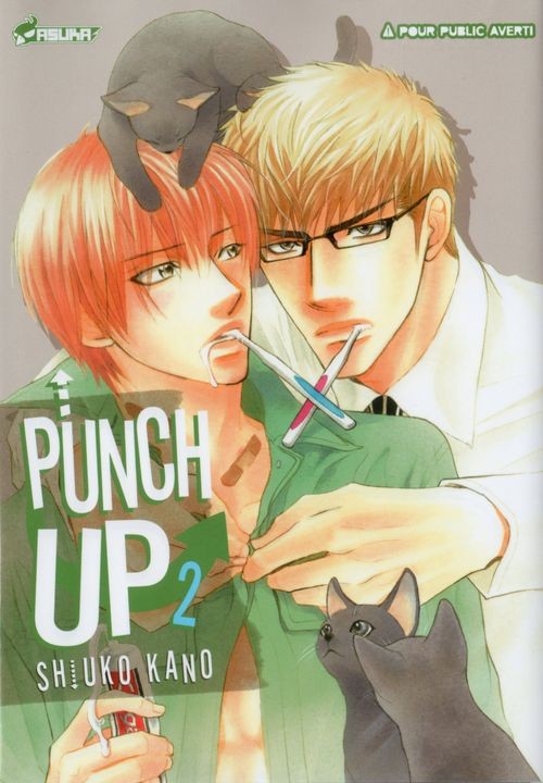 Couverture de l'album Punch up 2