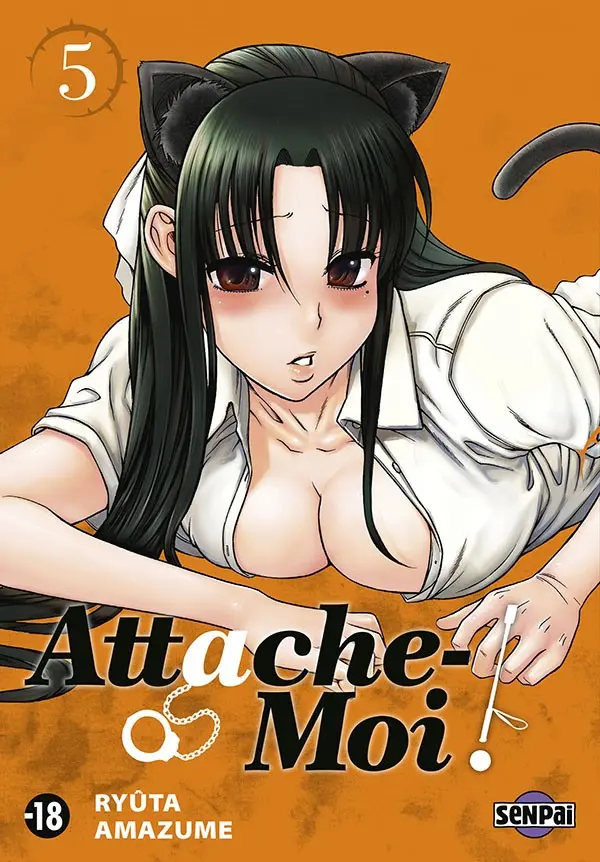 Couverture de l'album Attache-moi ! 5