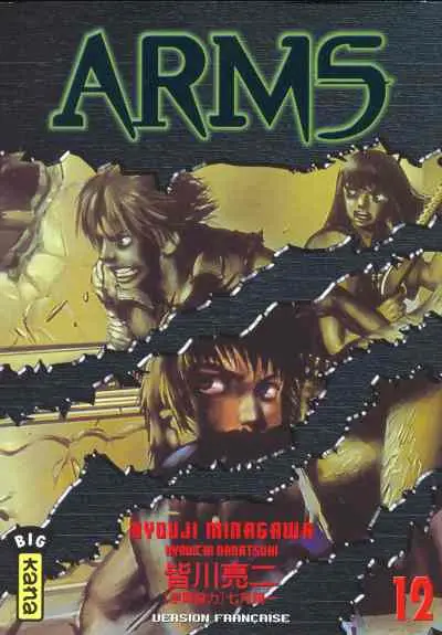Couverture de l'album Arms 12