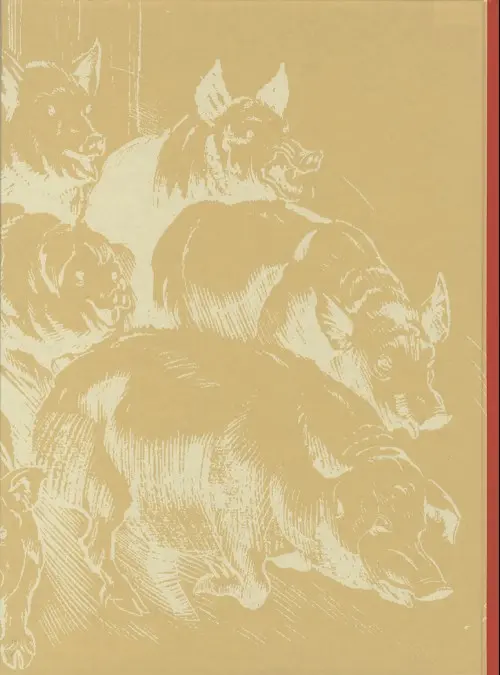 Verso de l'album Ragnar Livre 15 Le fleuron de la couronne