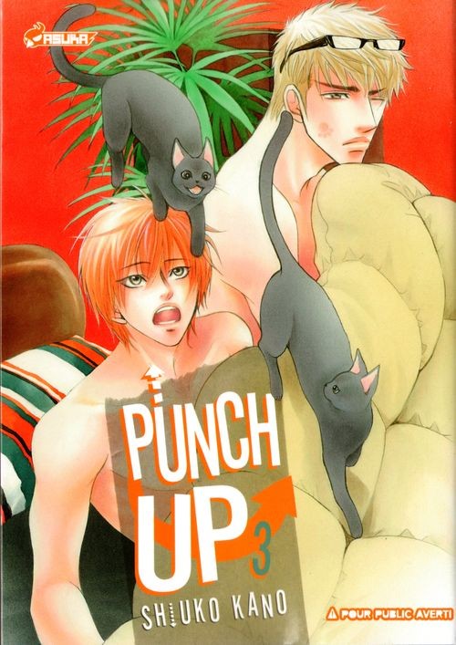 Couverture de l'album Punch up 3