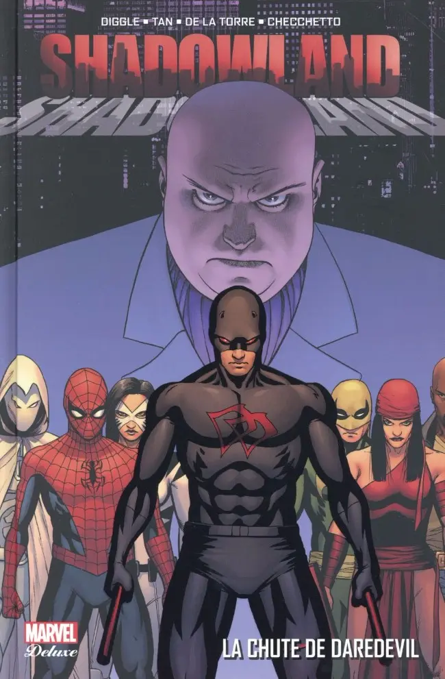 Couverture de l'album Shadowland La Chute de Daredevil