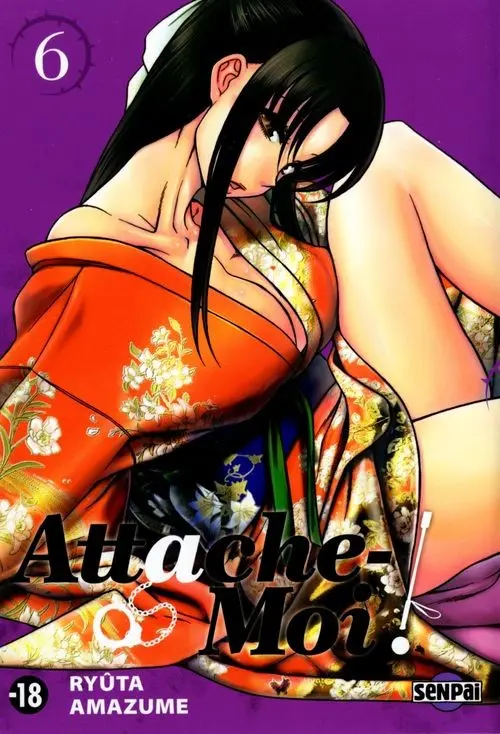 Couverture de l'album Attache-moi ! 6
