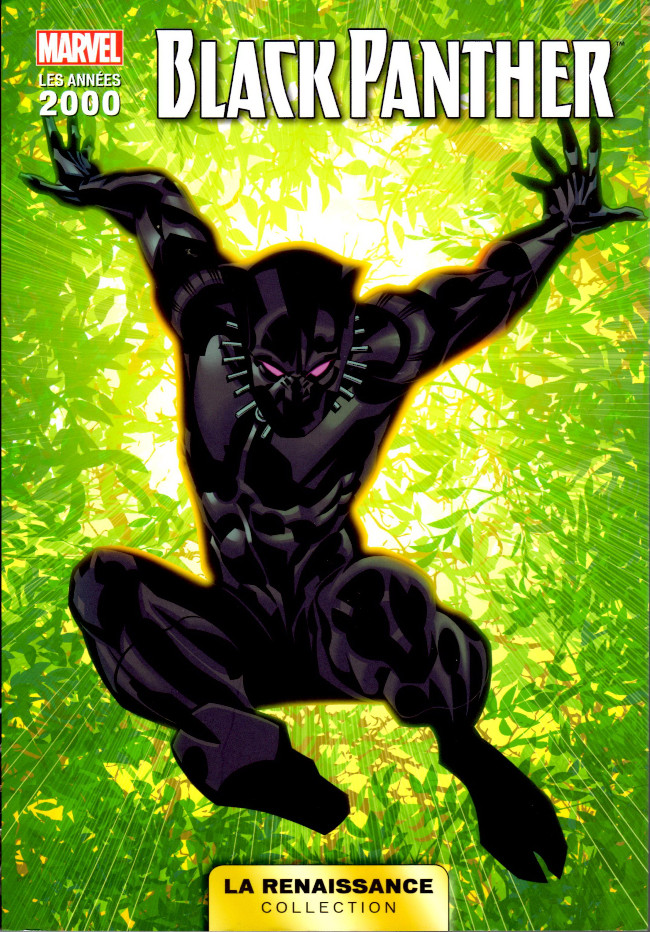 Couverture de l'album Marvel Les Années 2000 - La Renaissance 2 Black Panther