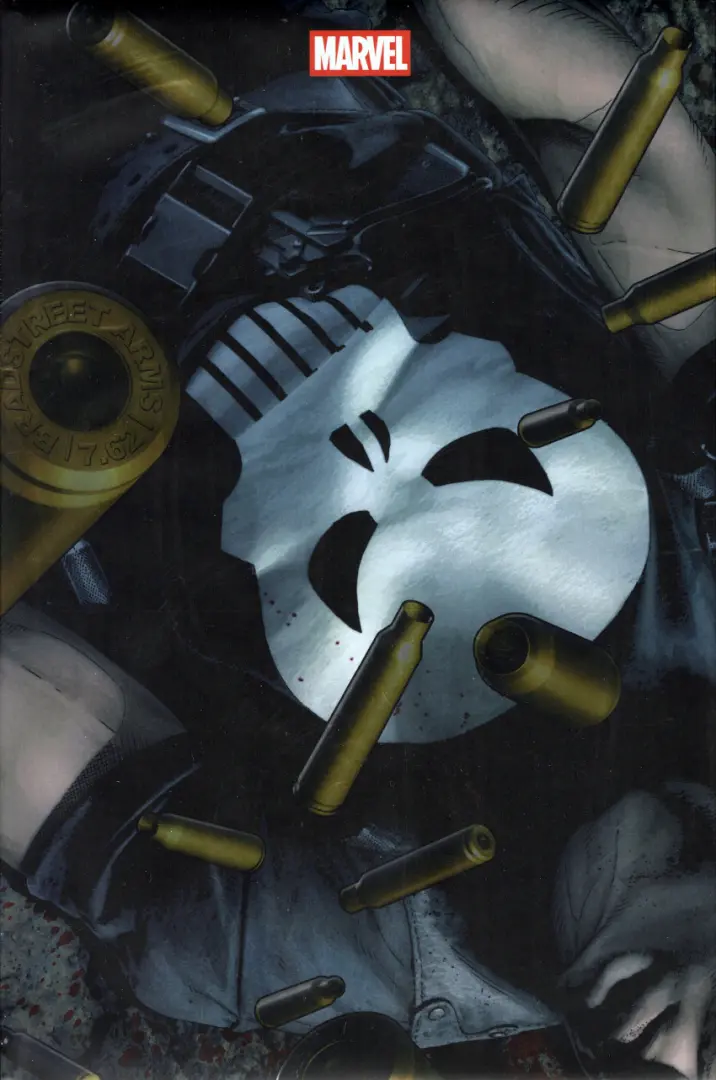 Couverture de l'album The Punisher 3