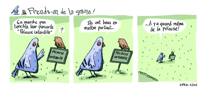 Planche de l'album AstroKidd Tome 1 Prends en de la graine - Tchip & Rôôô, drôles d'oiseaux