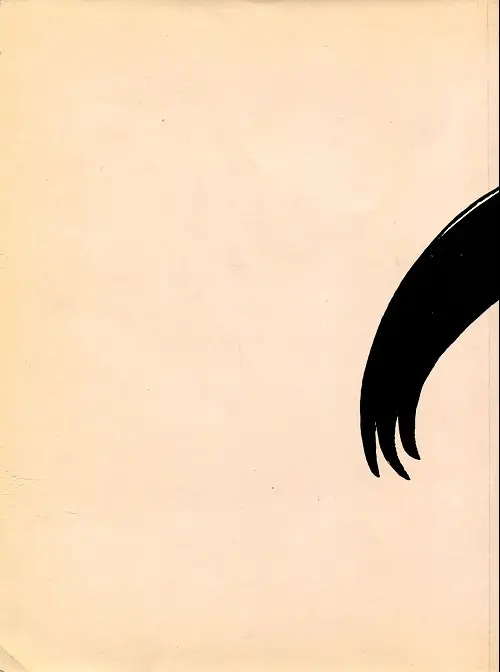 Verso de l'album Le Baron Noir Tome 2