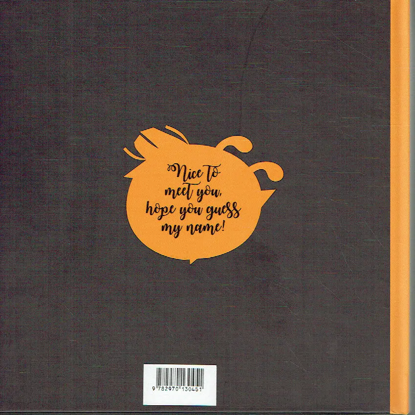 Verso de l'album Nelson Nice to Meet You