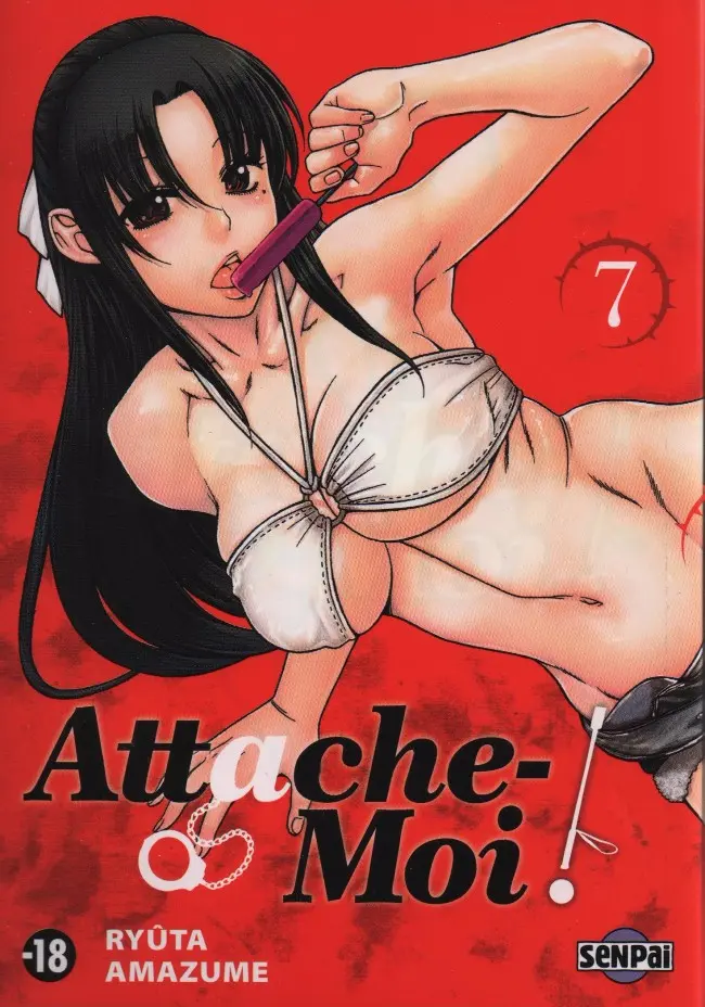 Couverture de l'album Attache-moi ! 7