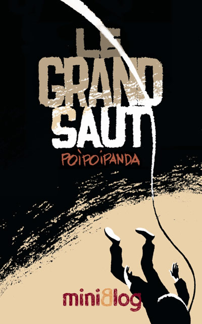 Couverture de l'album Le Grand saut