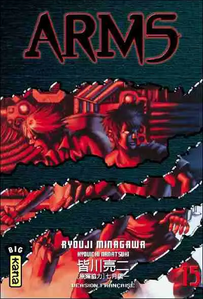 Couverture de l'album Arms 15