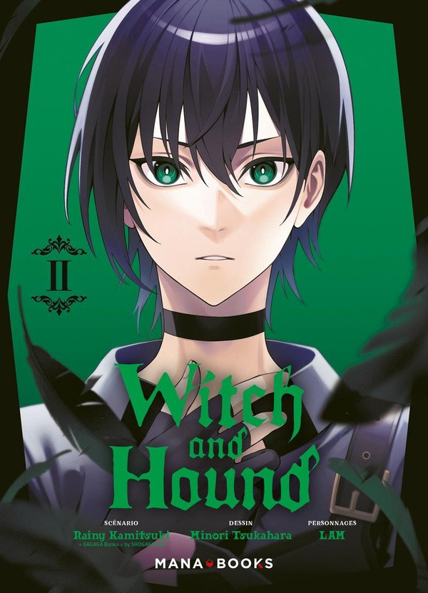 Couverture de l'album Witch and Hound II