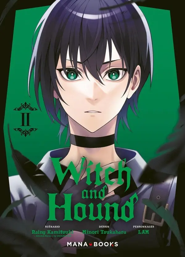 Couverture de l'album Witch and Hound II