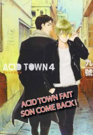 Couverture de l'album Acid Town 4