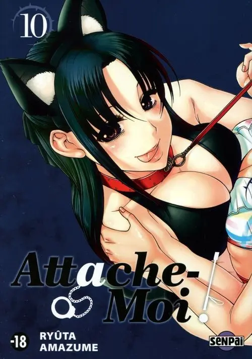 Couverture de l'album Attache-moi ! 10