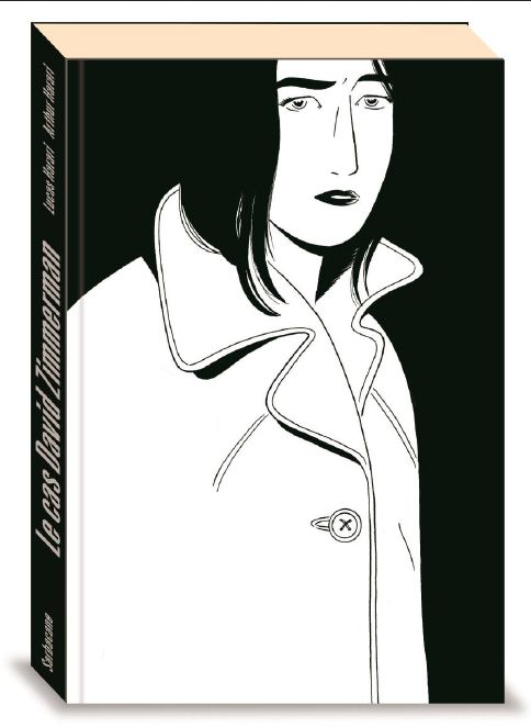 Couverture de l'album Le cas David Zimmerman