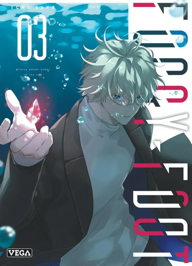 Couverture de l'album Foggy Foot 03