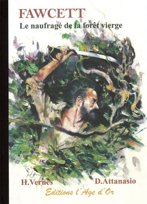 Couverture de l'album Fawcett, le naufragé de la forêt vierge