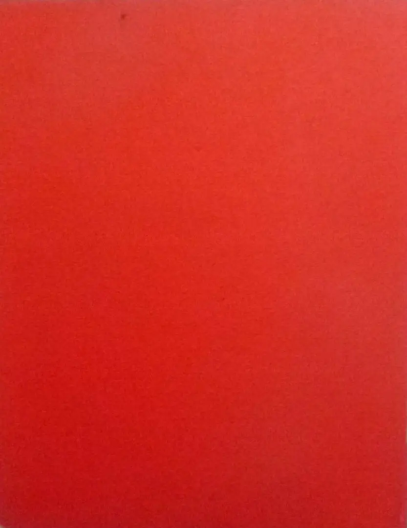 Verso de l'album Zig et Puce