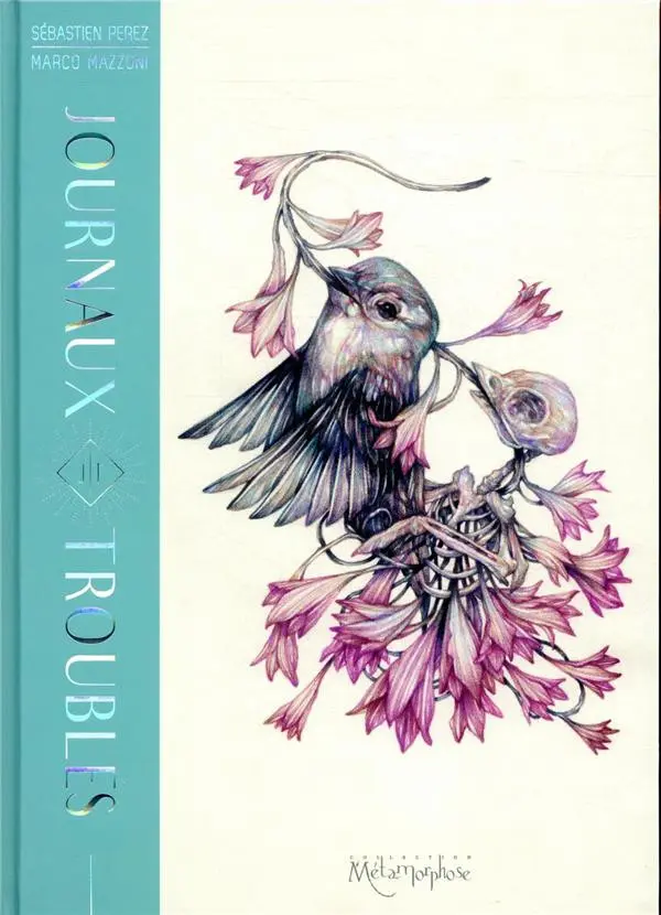 Couverture de l'album Journaux troublés