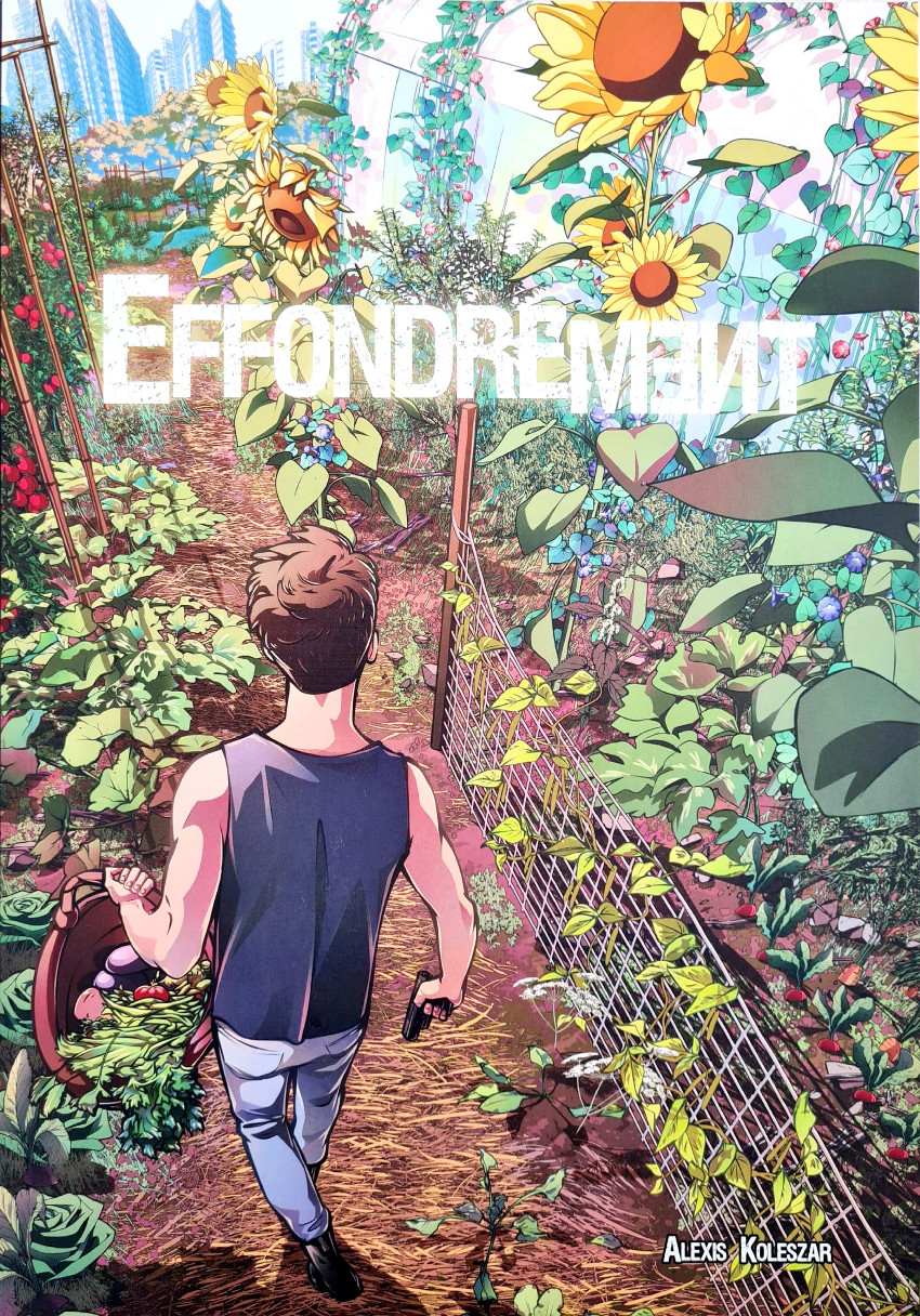 Couverture de l'album Effondrement