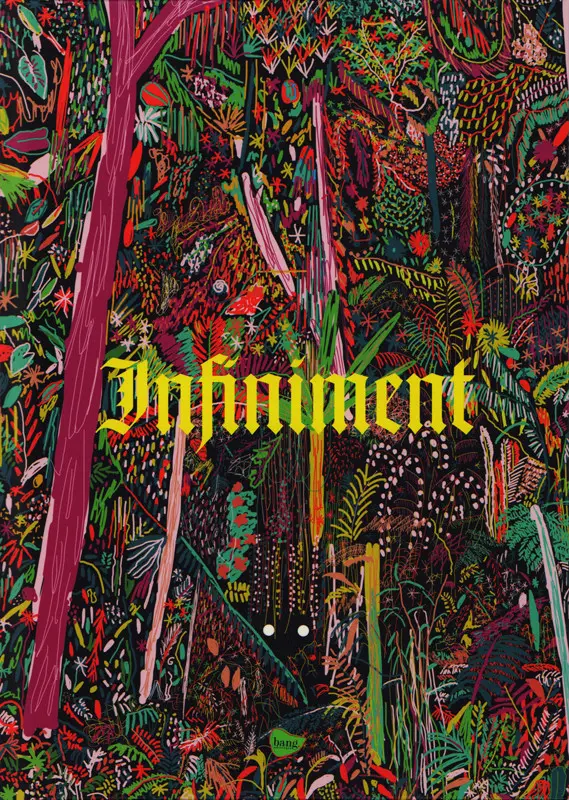 Couverture de l'album infiniment