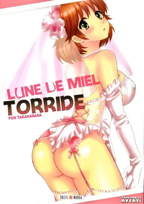 Couverture de l'album Lune de miel torride