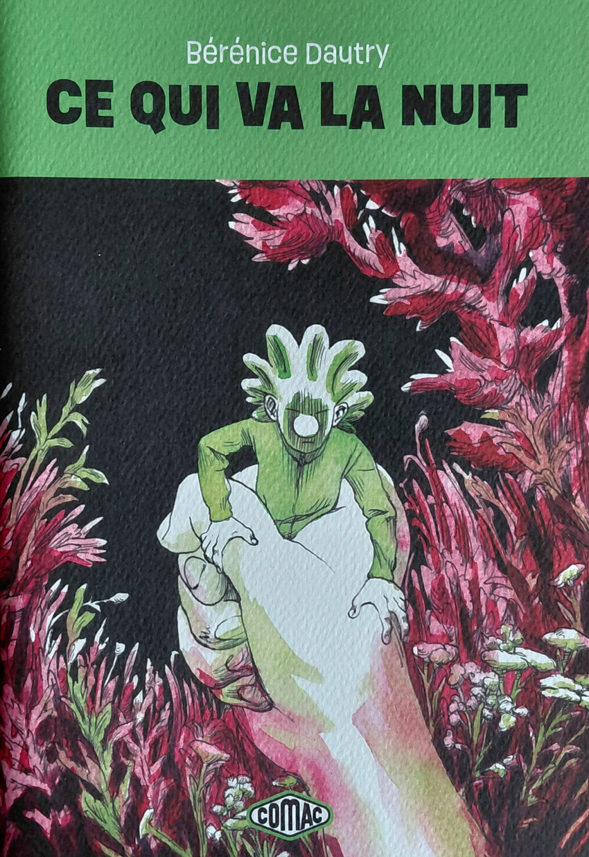 Couverture de l'album Ce qui va la nuit