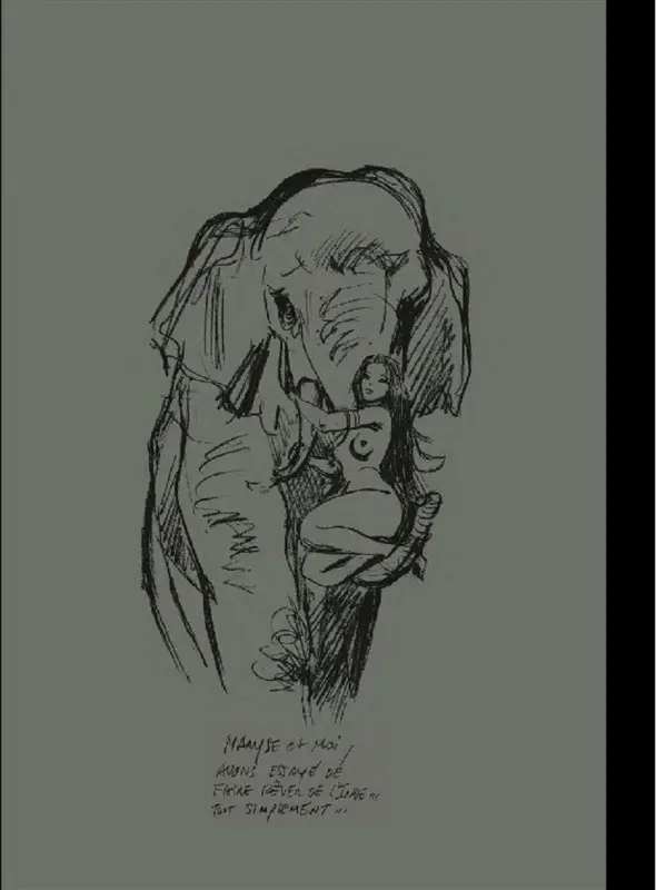 Verso de l'album India dreams Tome 9 Le regard du vieux singe